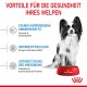 Ein gesunder Welpe sitzt neben einer roten Schüssel mit Royal Canin Hundefutter und hebt Vorteile wie Immununterstützung, Gehirnentwicklung und Mikrobiomgesundheit hervor.