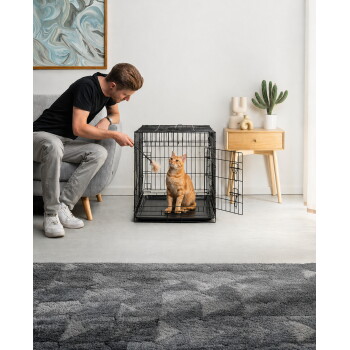 Mann spielt mit einer orangegetigerten Katze in einer offenen schwarzen Metallbox mit Feder-Spielzeug in einem modernen Wohnzimmer.