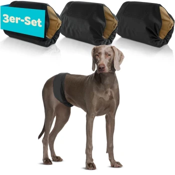 Ein grauer Hund, der eine blaue Windel trägt, steht vor drei bunten Haustierwindeln in Blau, Grün und Schwarz, beschriftet mit "3er-Set."