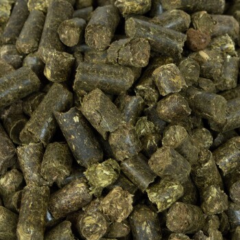Nahaufnahme von dunkelgrünen, zylindrischen Tierfutterpellets, die zusammen verstreut sind und ihre strukturierte Oberfläche zeigen.