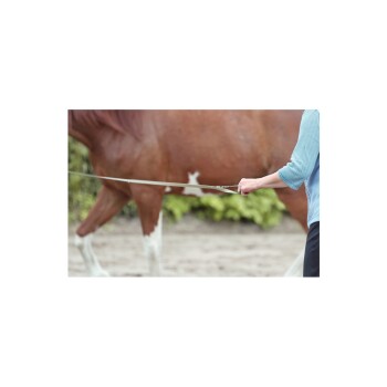 Equilonge