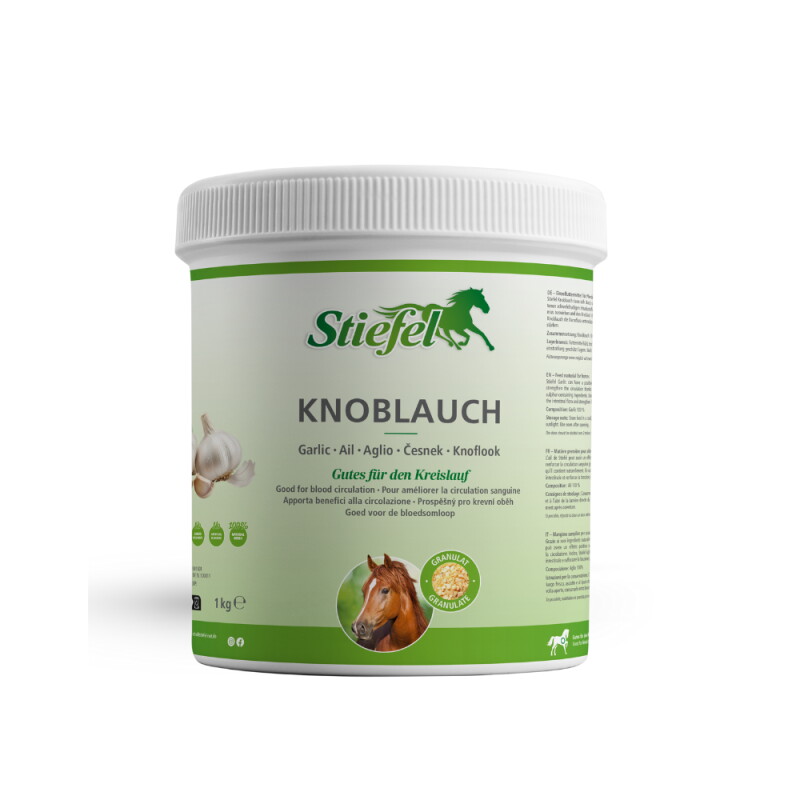 Stiefel Knoblauch 1 kg