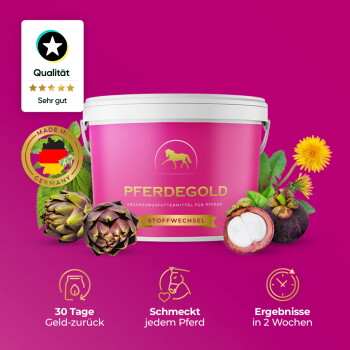 Rosa Behälter mit der Aufschrift "PFERDEGOLD" mit dem Text "Ergänzungsfuttermittel für Pferde" und "Stoffwechsel", umgeben von Kräutern und Früchten.