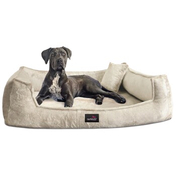 ® Orthopädisches Hundebett FRANKLIN Kuscheliger Teddy-Stoff - Hundesofa creme 90 cm, 22 cm, 75 cm