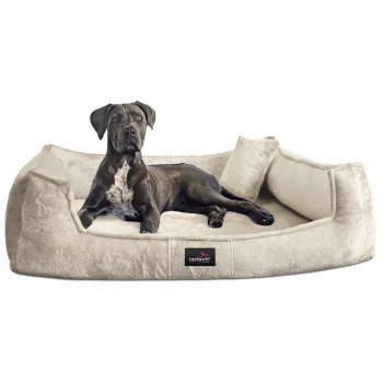 ® Orthopädisches Hundebett FRANKLIN Kuscheliger Teddy-Stoff - Hundesofa creme 90 cm, 22 cm, 75 cm Ein schwarz-weißer Hund, der auf einem plüschigen, cremefarbenen Haustierbett mit einem kleinen Kissen liegt, mit einem "tierlando"-Logo.