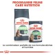 Produits de soin félin Royal Canin : un sac de nourriture sèche "Care Digestive" et un sachet de nourriture humide "Care Digest Sensitive," avec une image de chat.
