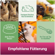 Bild von Tipps zur Tierpflege: zwei Kaninchen, Meerschweinchen mit Gemüse, ein Hamster, der Wasser trinkt, und deutsche Fütterungshinweise.
