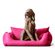 Ein brauner Hund sitzt auf einem leuchtend pinken Haustierbett und schaut aufmerksam zur Seite.
