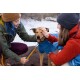 Ein Hund in einem blauen Mantel wird draußen sanft von zwei Personen gestreichelt, mit Schnee auf dem Boden und einem verschwommenen Hintergrund.