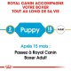 Guide Royal Canin pour les chiens Boxer, montrant les étapes d'âge : 2 mois (Chiot) à 15 mois (Adulte), avec une note de transition en français.