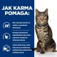 Tabby kot z niebieską obrożą siedzi prosto, obok tekstu w języku polskim szczegółowo opisującego, jak jedzenie pomaga w utracie wagi i energii.