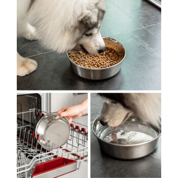 Ein flauschiger Hund frisst Trockenfutter aus einer Edelstahlschüssel, mit Bildern der Schüssel in einer Geschirrspülmaschine und dem Hund, der Wasser trinkt.