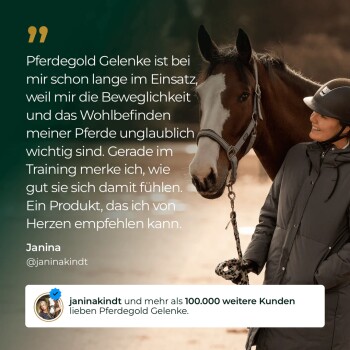 Braunes Pferd, geführt von einer Person, mit deutschsprachigem Testimonial-Overlay, das Pferdegold Gelenke von Janina lobt und 'mehr als 100.000' erwähnt.