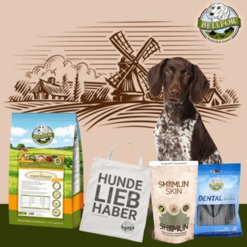 Deutsch Kurzhaar Futter Set