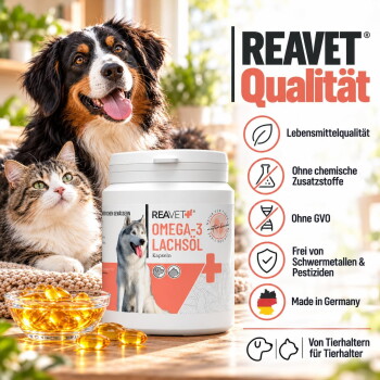 Etikett für ReavET Omega-3 Lachsölkapseln für Hunde und Katzen, das die Vorteile für Gelenke, Haut und Fellgesundheit hervorhebt.