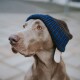 Hundepullover Odense mit Mütze (Set) braun 55 cm