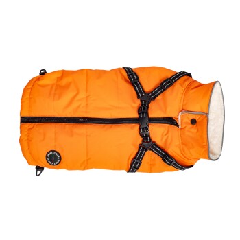 Helle orangefarbene Hundejacke mit einem gesteppten Design, mit einem schwarzen Geschirr und Reißverschluss, ideal für kaltes Wetter.