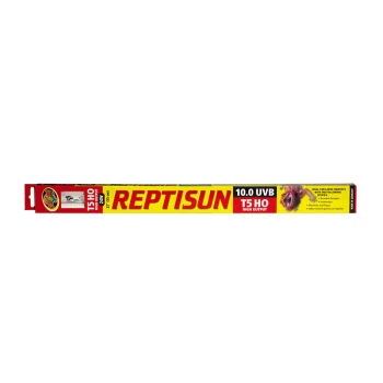 Verpackung der Reptisun T5 HO UVB-Lampe, mit fettem roten und gelben Text, der eine UVB-Ausgabe von 10.0 anzeigt, ideal für große Reptilien.