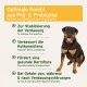 Probiotikum 90 Tabletten