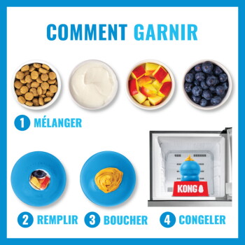 Infographie «COMMENT GARNIR» montrant des bols de croquettes, yaourt et fruits et les étapes «1 MÉLANGER 2 REMPLIR 3 BOUCHER 4 CONGELER» avec un KONG bleu dans un congélateur