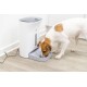 Ein kleiner Hund mit einem braun-weißen Fell frisst aus einer grauen Futterschüssel, die an einem weißen automatischen Haustierfutterspender befestigt ist.
