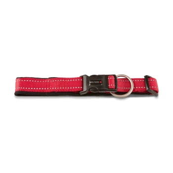Rotes gepolstertes Hundehalsband mit reflektierender Naht, schwarzer Kunststoffschnalle mit Aufdruck 'WOLTERS' und Metall-D-Ring.