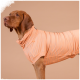 Brauner Hund trägt ein hellorangefarbenes, gemustertes Haustierhemd vor beigem Hintergrund.