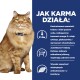 Puszysty pomarańczowy kot z żółtymi oczami siedzi obok tekstu o korzyściach karmy dla kotów, w tym kontrolowanym fosforze i wzbogaceniu omega-3.
