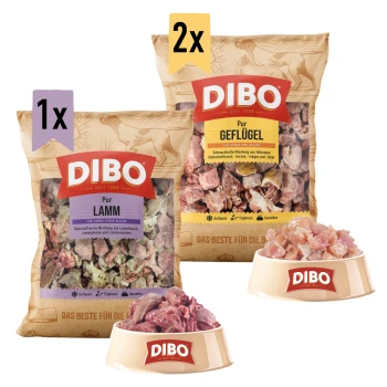 DIBO Haustierfutterpakete mit zwei Säcken Geflügel und einem Sack Lamm, mit einer Schüssel rohem Fleisch.