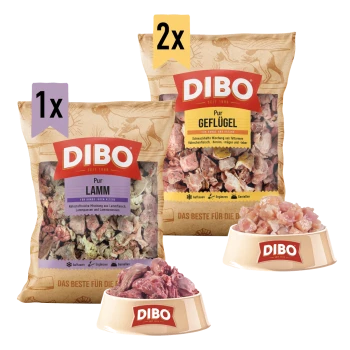 DIBO Haustierfutterpakete mit zwei Säcken Geflügel und einem Sack Lamm, mit einer Schüssel rohem Fleisch.