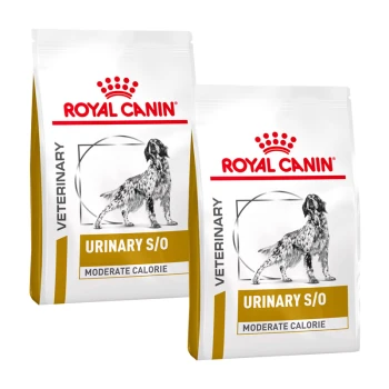 Deux sacs de nourriture pour chiens Royal Canin Veterinary Urinary S/O, étiquetés "Calories Modérées," avec une illustration de chien et le logo de la marque.