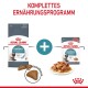 Royal Canin Hairball Care Verpackung mit Trockenfutter und Nassfutter, zeigt "Komplettes Ernährungsprogramm" und "Bewährte Ergebnisse in 14 Tagen."