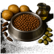 Metallnapf für Haustierfutter gefüllt mit Trockenfutter, umgeben von Kartoffeln, Öl in einem Glaskrug, Bohnen und Insektenlarven auf schwarzem Hintergrund.