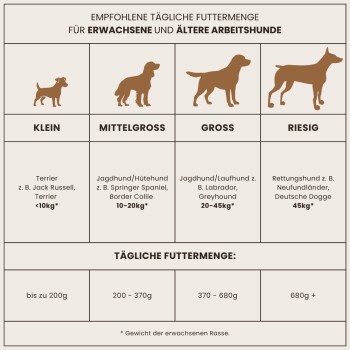 Tabelle der täglichen Futtermenge für erwachsene und ältere Arbeitshunde nach Größe: kleine, mittlere, große und riesige Rassen, mit Beispielen.