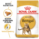 Royal Canin Adult Bengal Katzenfutterbeutel mit einer Bengal-Katzenillustration, mit Text, der die Ernährungsbedürfnisse der Rasse und die Verdauungsleistung hervorhebt.