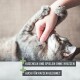 Eine Person spielt mit einer grauen getigerten Katze. Text: "+ Kuscheln und Spielen ohne Kratzen" und "+ Auch für Katzen geeignet."