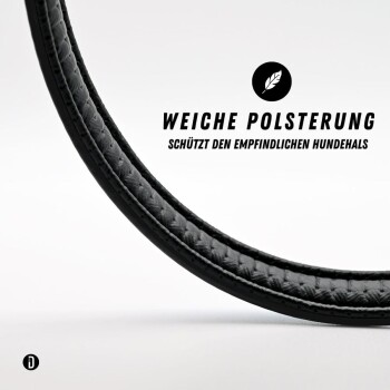 Ein schwarzes Haustierhalsband mit einem leuchtend gelben verstellbaren Riemen, der zwei schwarze Punkte aufweist, entworfen für Sichtbarkeit und Komfort.