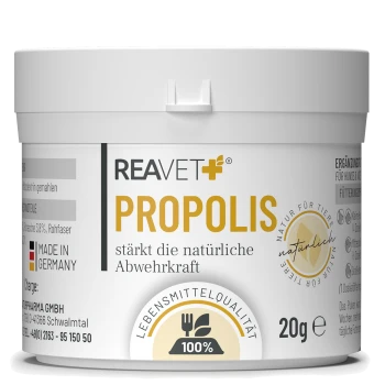 Behälter mit REAVET Propolis, einem natürlichen Ergänzungsmittel für Haustiere, auf Deutsch beschriftet, das besagt, dass es die natürlichen Abwehrkräfte stärkt, 20g.