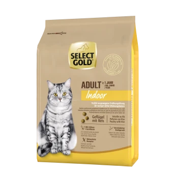 Select Gold cat food bag featuring a gray tabby cat, labeled "Adult Indoor," with details on ingredients like poultry and rice.