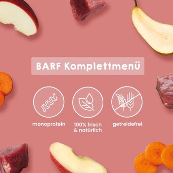 Weiße Schüssel mit roher Hackfleisch-Tiernahrung, Apfelscheiben, Karottenscheiben und rohen Rindfleischstücken auf weißem Hintergrund.