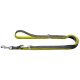 Eine strapazierfähige Hundeleine mit einem grauen und leuchtend grünen Design, mit einem Metallschnapper zur Befestigung und einem gepolsterten Griff für Komfort.