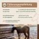 Pferd an einer Futterbox, mit Text in Deutsch und Englisch zu Fütterungsempfehlungen, täglichen Mengen und Ergänzungen.