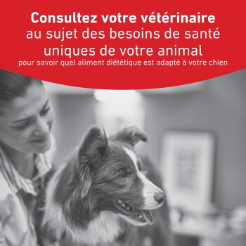 Femme avec un Border Collie dans une clinique ; bannière rouge indiquant Consultez votre vétérinaire