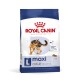 Royal Canin Maxi Adult Hundefutterbeutel mit einem Deutschen Schäferhund, gekennzeichnet mit 'Größe L' für Hunde über 15 Monate, fördert die Verdauungsgesundheit.