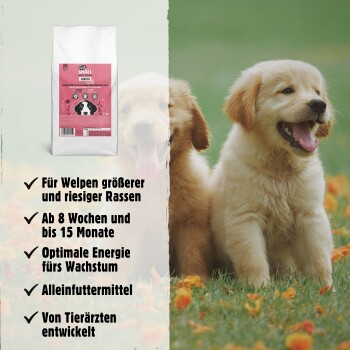 Beutel "Small Junior" Hundefutter für größere Rassewelpen, geeignet von 8 Wochen bis 15 Monate. Zwei Golden Retriever Welpen auf Gras.