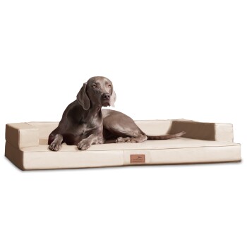 ® Orthopädisches Design Hundesofa GIBSON VISCO Kunstleder kubische Form creme 1,5 m, 22 cm, 1 m