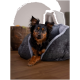 Ein kleiner Hund mit schwarzem und braunem Fell liegt bequem in einem gemütlichen grauen Haustierbett und ruht seine Vorderpfoten auf der Bettkante.