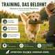 Golden Retriever trägt grünen Trainingsdummy auf eine kniende Frau zu; sichtbarer Text: 'TRAINING, DAS BELOHNT'