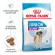 Royal Canin Junior Giant Hundefutterbeutel, mit einem Bernhardiner, hebt starke Immununterstützung, Muskelentwicklung und angepasste Krokettegröße hervor.