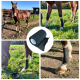 Ein braunes Pferd im Gras hat ein vorderes Bein in einem schwarzen Verband gewickelt, mit Nahaufnahmen des bandagierten Beins und der Verbandrolle.